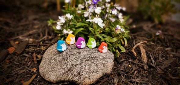 Wingspan Wood Bird Tokens Game Upgrade